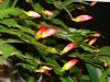 DSC01790.jpg