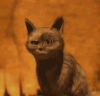 a6fbe21agw1dxzu8xliudg.gif