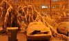 20121103_4024.jpg