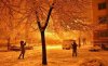 20121103_1234.jpg