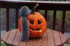 IMG_0058 (640x427).jpg