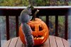 IMG_0059 (640x427).jpg