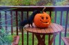 IMG_0067 (640x427).jpg