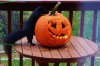 IMG_0068 (640x428).jpg