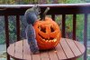 IMG_0054%20(640x428)[1].jpg