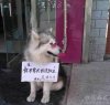2012042313311448808.jpg