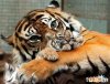 6d0246e0368d90cdefe0502e52d9cfc5.jpg
