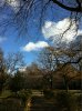 image-3300760792.jpg