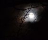 moon.jpg