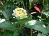 image-2655150700.jpg