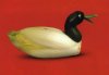 duck.JPG