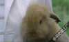 7efcd295jw1dx3evs0oj4g.gif