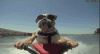 h561D270F.gif