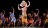 736x428_lionking.jpg