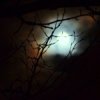 moon - nail[1].jpg
