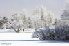 winter_080223_2_800.jpg