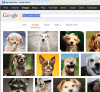 Image1.gif