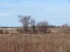 KanataWest1-lr-625x468.jpg