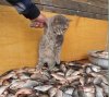 2012052812005643349.jpg