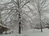 2013-02-28 07.24.54.jpg