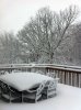 IMG_0090.JPG