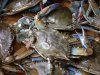 Blue_crab_on_market_in_Piraeus_-_Callinectes_sapidus_Rathbun_20020819-317.jpg