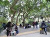 HKpark1.jpg