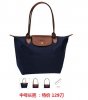 Longchamp 中号长把.jpg