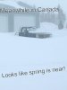 spring is in the air.jpg