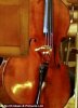 20130320013105285.jpg 20130320013105285.jpg