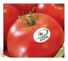 labels_tomatoes_LV.jpg