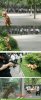 打虎训练.jpg