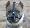 pitbull-muzzle-wire.jpg