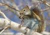 IMG_4594cb.jpg