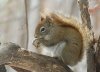 IMG_4266c.jpg