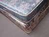 DSC01655.jpg