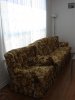 DSC01644.jpg