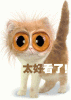 太好看了.gif