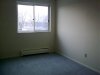 20130404341.jpg