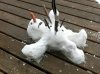 hate winter.JPG