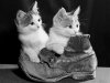 Kittens_photography_wallpaper.jpg