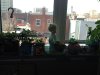 image-419140694.jpg