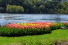DSC_0040.JPG