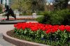 DSC_0146.JPG