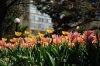 DSC_0092.JPG
