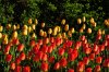 DSC_0188.JPG