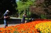 DSC_0301.JPG