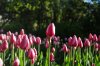 DSC_0163.JPG