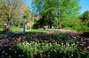DSC_0313.JPG