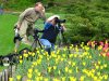 2008-05-08-tulip-photogs.jpg